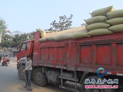 滿載小麥的貨車.JPG