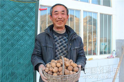 山西臨縣：核桃圓了村民“致富夢”