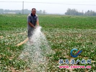 正陽:全力戰(zhàn)旱魔