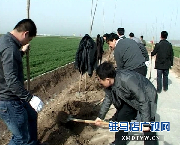 大家熱火朝天植樹(shù)造林.jpg