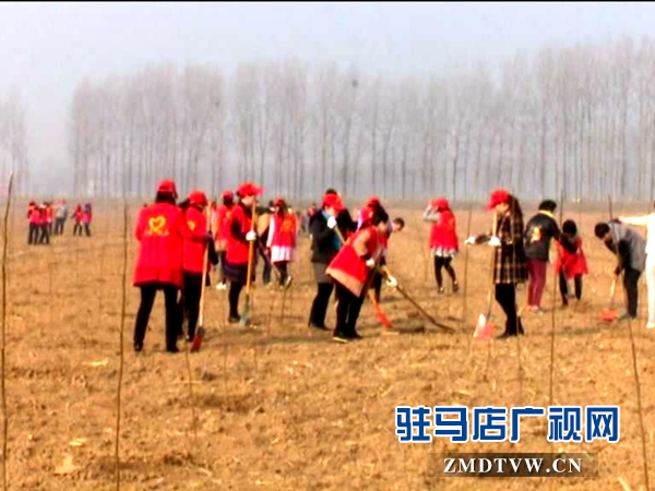 獻禮三八節(jié)，共植巾幗林_20160307091014.JPG