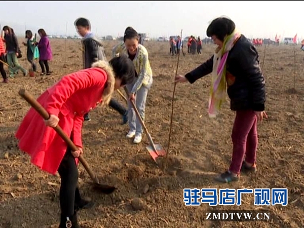 獻禮三八節(jié)，共植巾幗林_20160307091028.JPG