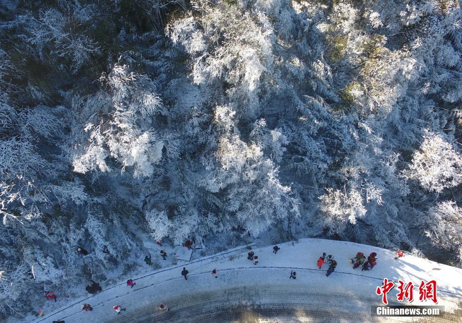 12月20日，重慶金佛山銀裝素裹雪景美如畫，吸引了不少游客前來觀賞。當(dāng)日，第19屆金佛山冰雪節(jié)正式開幕。 陳超 攝