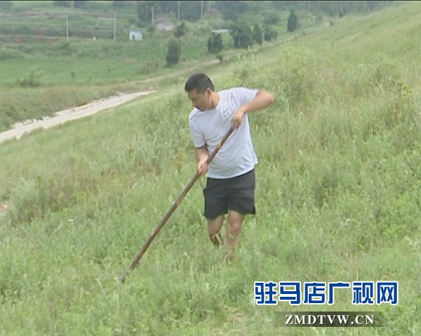 泌陽：加大水庫巡查 確保安全度汛