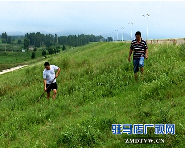 泌陽：加大水庫巡查 確保安全度汛