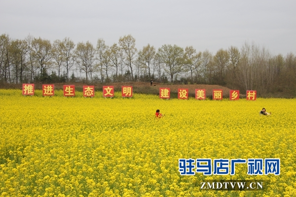 駐馬店魯灣小鎮(zhèn)首屆千畝油菜花節(jié)開幕  