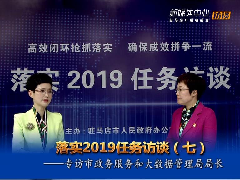 落實2019任務訪談--市政務服務和大數據管理局局長王靜嫻