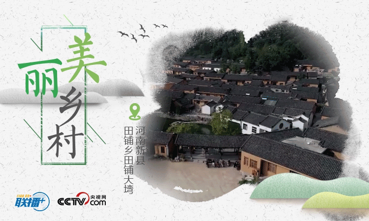 聯(lián)播+ | 五張海報(bào)，看總書(shū)記考察過(guò)的這些美麗鄉(xiāng)村