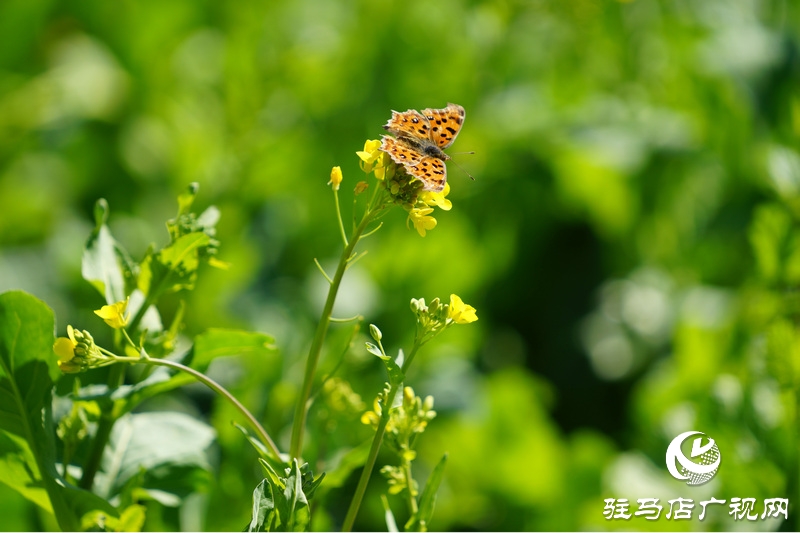 我們堅(jiān)守，為了早日重逢