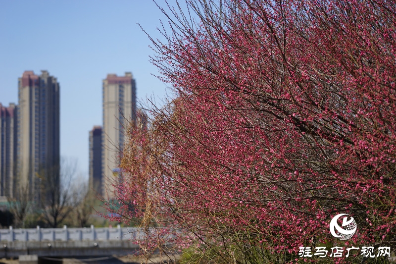 再次與自己約定，閉門不出