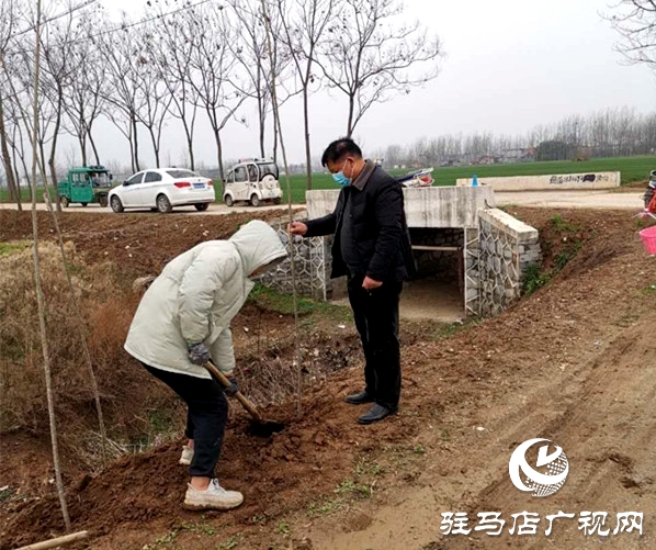 汝南縣三橋鎮(zhèn)搶抓時(shí)機(jī)忙植樹