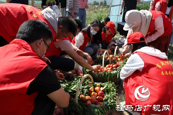 黨員為農(nóng)產(chǎn)品代言，政協(xié)助力脫貧攻堅 