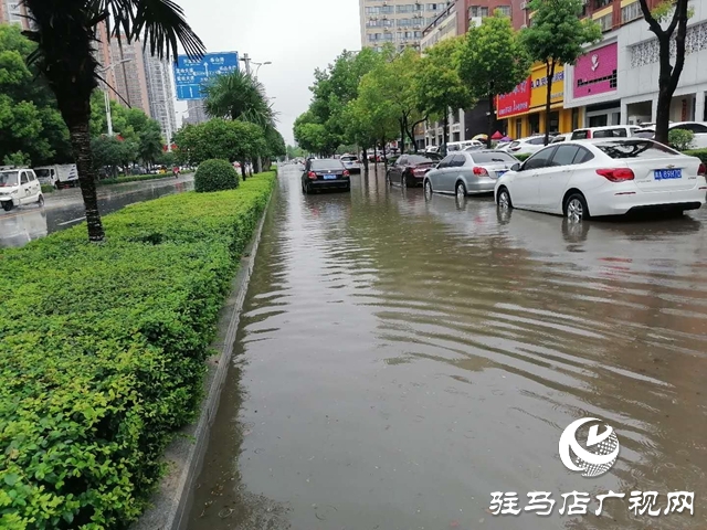 遇到積水路面如何開車？