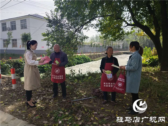 平輿縣玉皇廟鄉(xiāng)開展反邪教宣傳活動