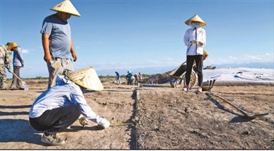 遺址格局逐步清晰，歷史文化內(nèi)涵日益豐富  北庭故城考古發(fā)現(xiàn)不斷深入