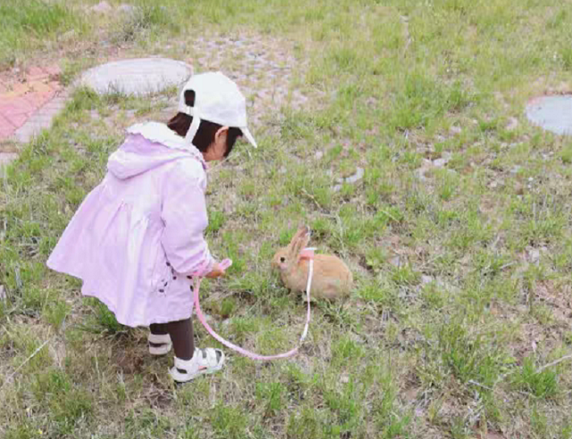 今年春節(jié)親子游都去的打卡地！門票免費(fèi)送！