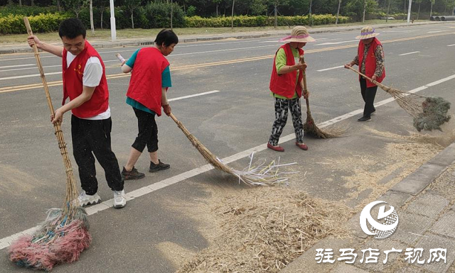 西平：志愿者服務(wù)隊(duì)深入田間地塊助力“三夏”生產(chǎn)暖民心