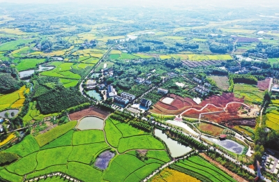 你好，小康丨光山縣東岳村：田園多彩 電商下鄉(xiāng)