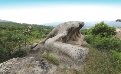 南陽發(fā)現(xiàn)遠(yuǎn)古文明大量遺址遺跡的歷史定位及其時(shí)代價(jià)值探析