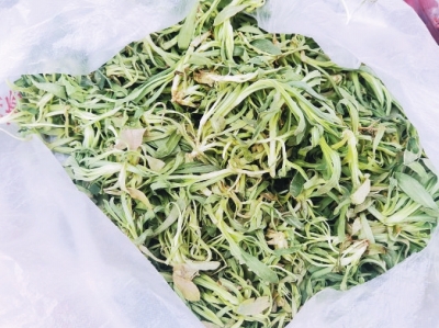 時令野菜走進超市 哪些新鮮野菜可嘗？快收好這份野菜食譜