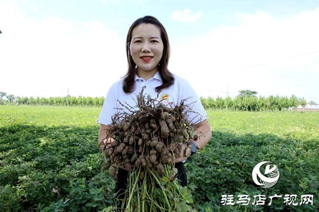 河南正陽：鄉(xiāng)村振興戰(zhàn)場上的“勞模父女兵”