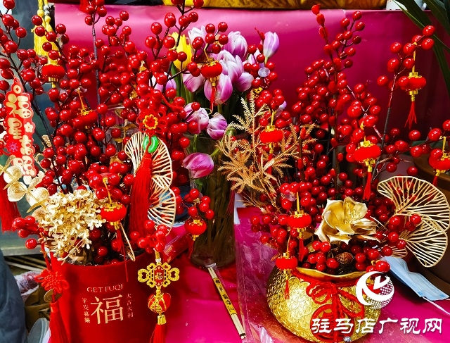 新春走基層丨 駐馬店：花卉市場(chǎng)年味濃 姹紫嫣紅迎新年