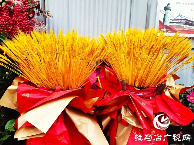 新春走基層丨 駐馬店：花卉市場(chǎng)年味濃 姹紫嫣紅迎新年