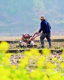 守護(hù)耕地，讓“希望的田野”春意盎然