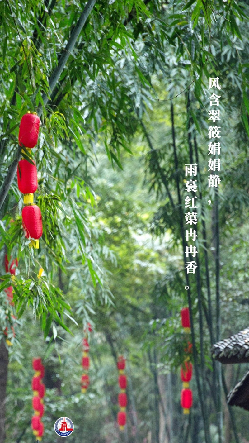 新華全媒+丨植樹傳統(tǒng)，從古詩(shī)中走來