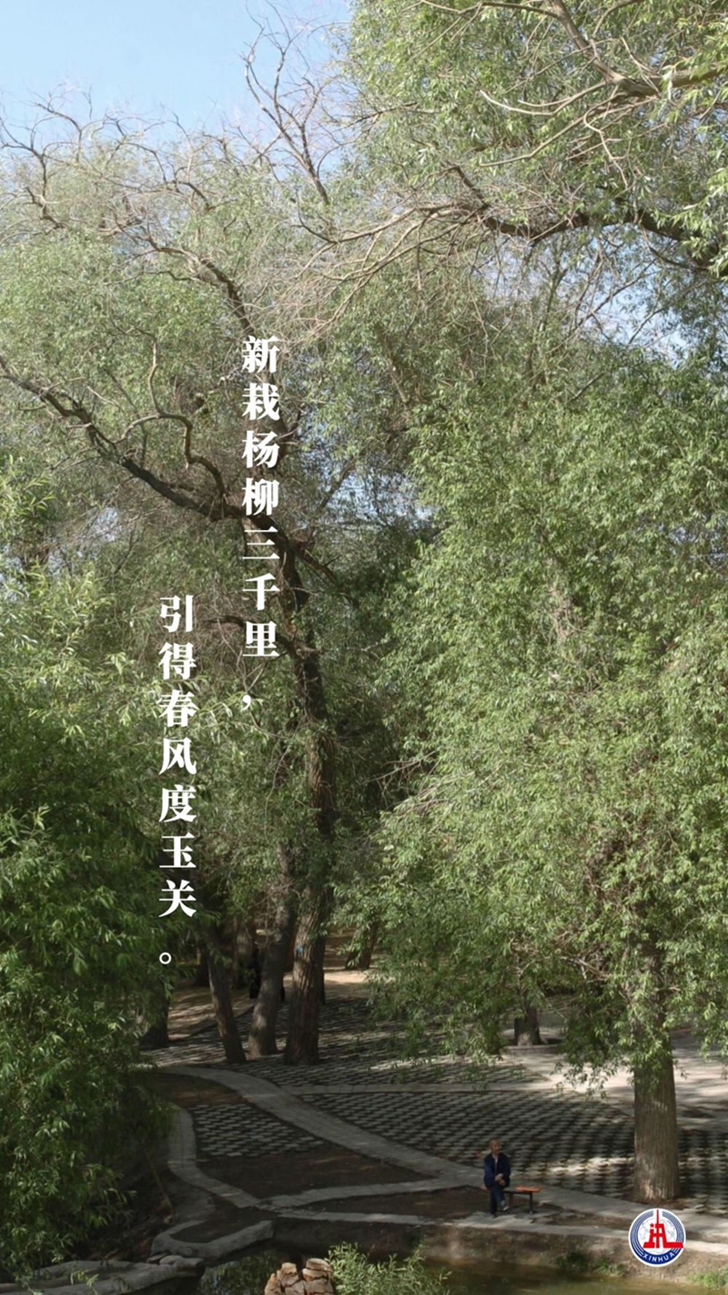 新華全媒+丨植樹傳統(tǒng)，從古詩(shī)中走來