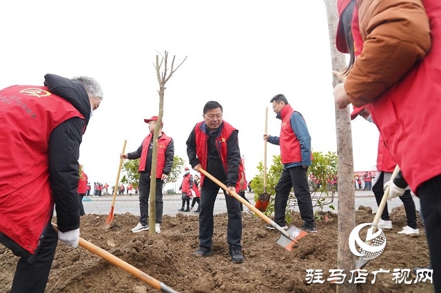 正陽縣總工會開展義務植樹活動