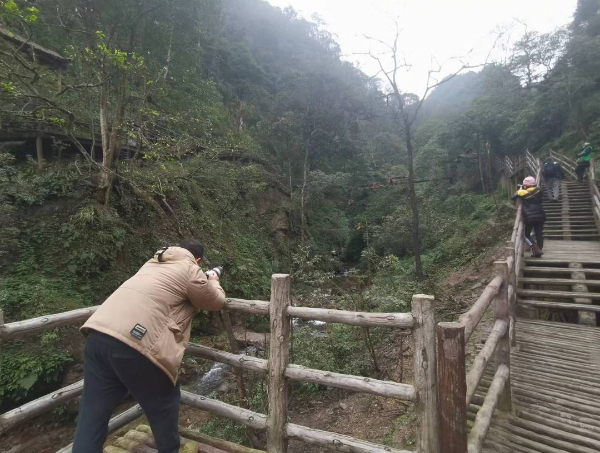 峨眉山猴子被拘留？假的！峨眉山猴子是國(guó)家二級(jí)保護(hù)動(dòng)物