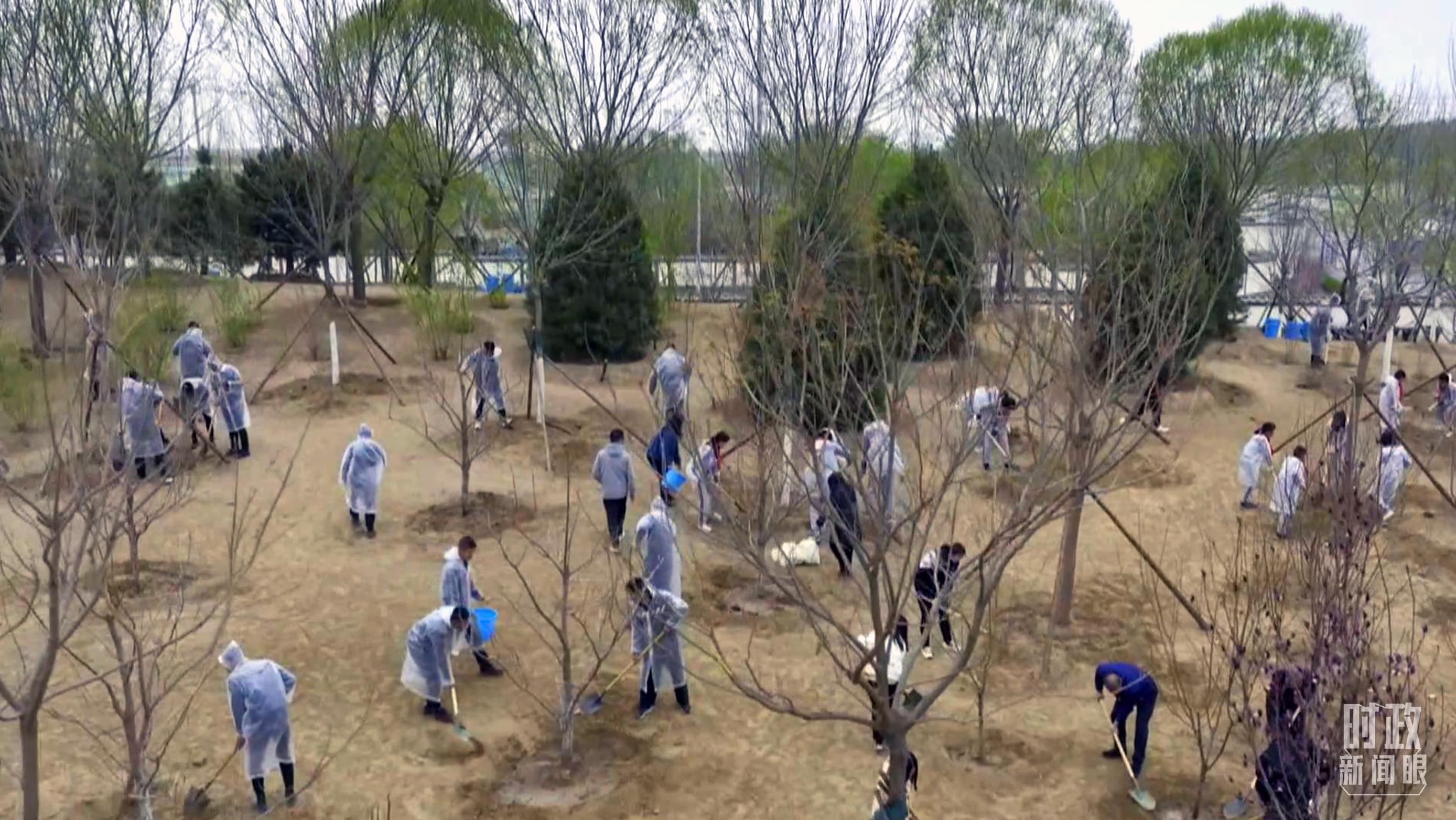 時(shí)政新聞眼丨在今年首都義務(wù)植樹現(xiàn)場，習(xí)近平這三句話飽含深意