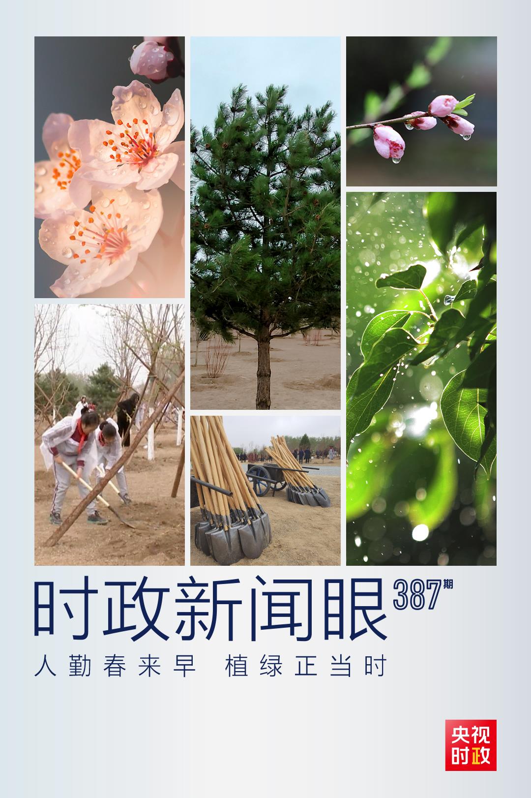 時(shí)政新聞眼丨在今年首都義務(wù)植樹現(xiàn)場，習(xí)近平這三句話飽含深意