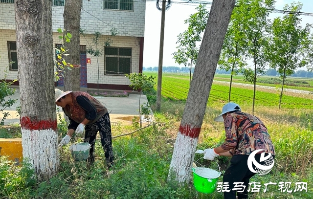 泌陽(yáng)縣郭集鎮(zhèn)：大家齊動(dòng)手 共建美家園