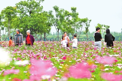 新時代 新征程 新偉業(yè)丨國際花園城市競賽，信陽憑啥“蟾宮折桂”