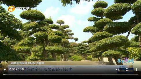 當(dāng)國慶遇上中秋，看河南十八地市“豫拼豫出彩”