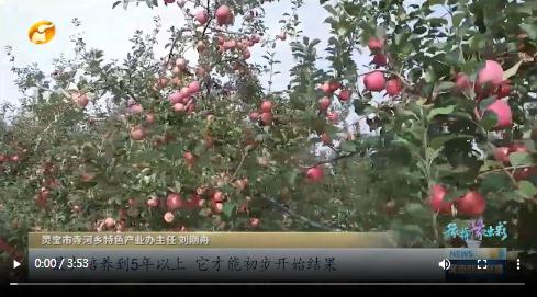 當(dāng)國慶遇上中秋，看河南十八地市“豫拼豫出彩”
