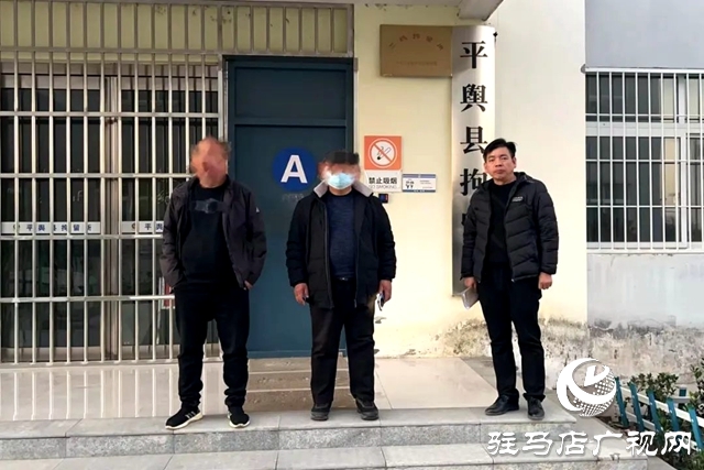 平輿法院人民法院院長凌晨帶隊集中執(zhí)行強制拘留5人