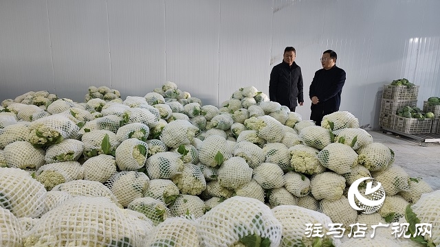 平輿縣萬金店鎮(zhèn)：“有機花菜”為三園建設“錦上添花”