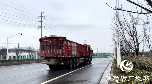 閃光的平凡||貨運司機(jī)羅永濤