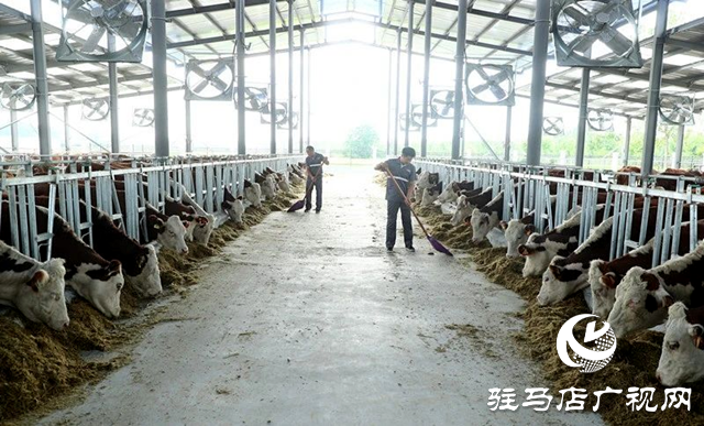 正陽(yáng)縣：“黨建+”賦能鄉(xiāng)村產(chǎn)業(yè)發(fā)展