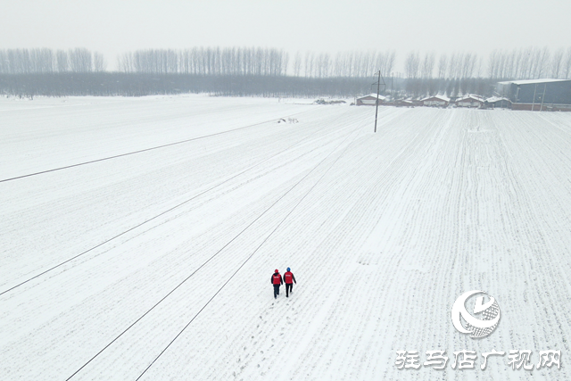 國(guó)網(wǎng)平輿縣供電公司：戰(zhàn)風(fēng)雪 破堅(jiān)冰 打贏春節(jié)保電攻堅(jiān)戰(zhàn)