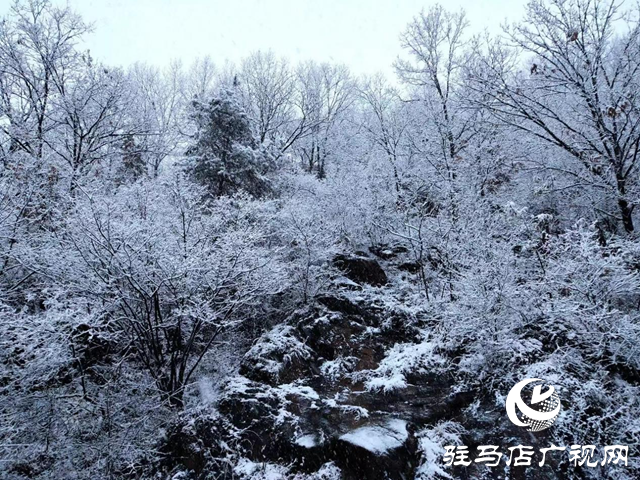 大雪來(lái)襲! 駐馬店市多個(gè)景區(qū)臨時(shí)關(guān)閉