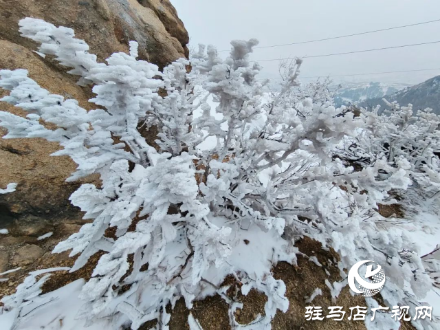 美呆了！羅漢山開啟雪凇、霧凇雙景齊現(xiàn)模式