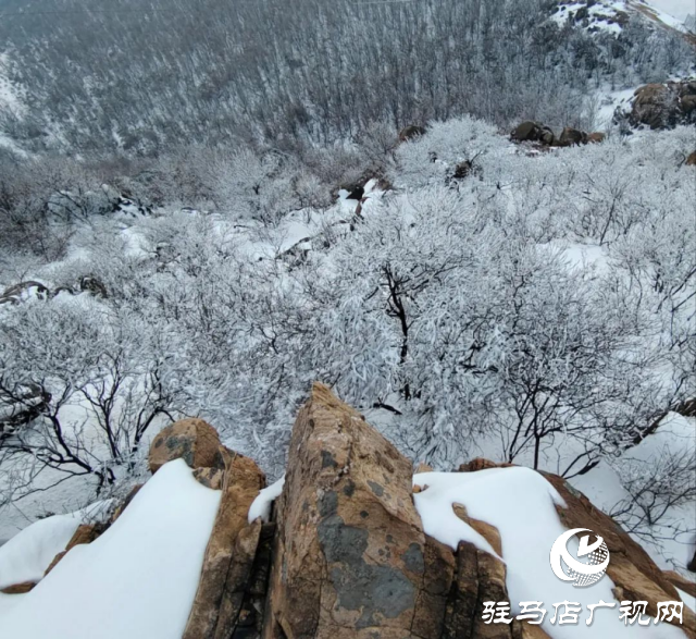 美呆了！羅漢山開啟雪凇、霧凇雙景齊現(xiàn)模式