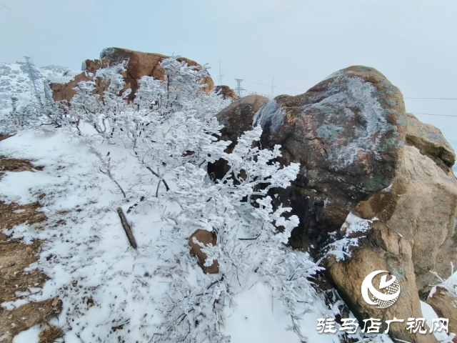 美呆了！羅漢山開啟雪凇、霧凇雙景齊現(xiàn)模式