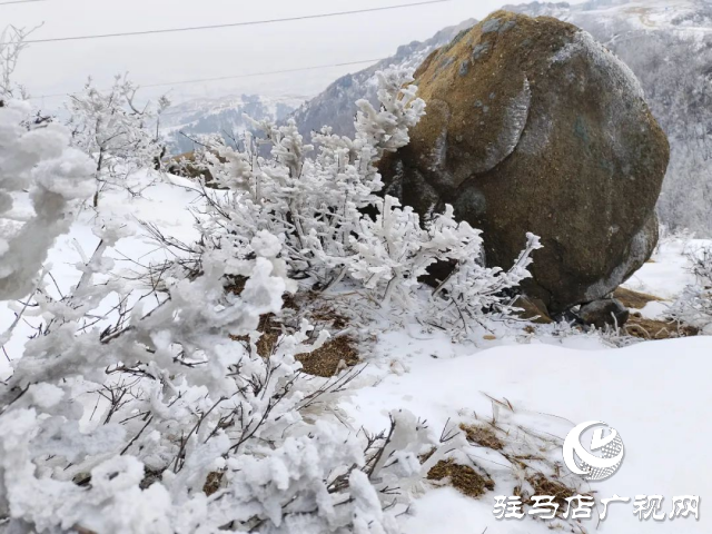 美呆了！羅漢山開啟雪凇、霧凇雙景齊現(xiàn)模式