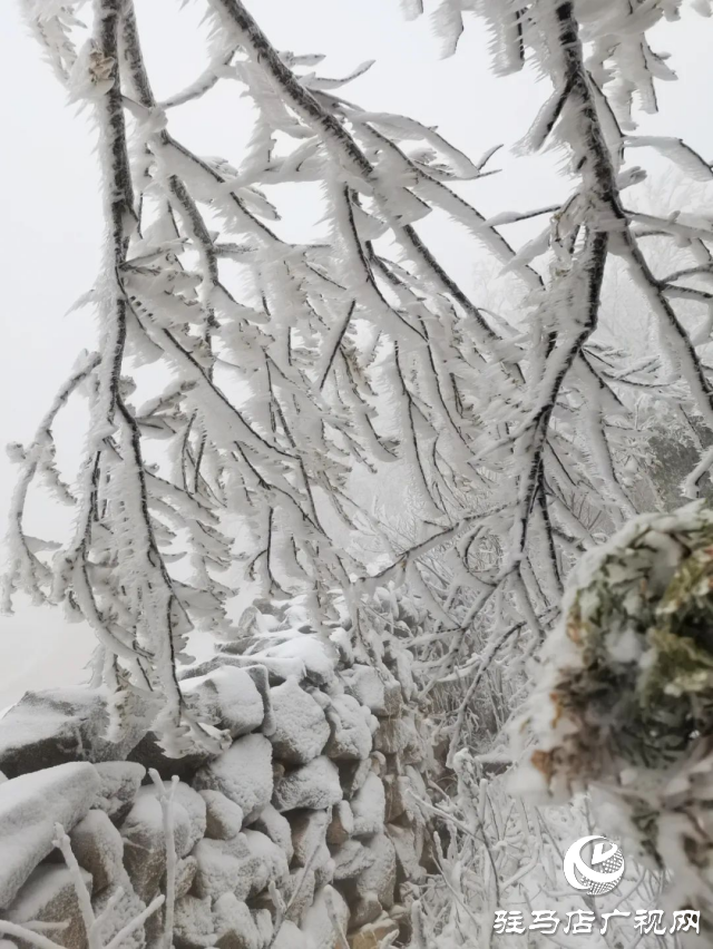 美呆了！羅漢山開啟雪凇、霧凇雙景齊現(xiàn)模式