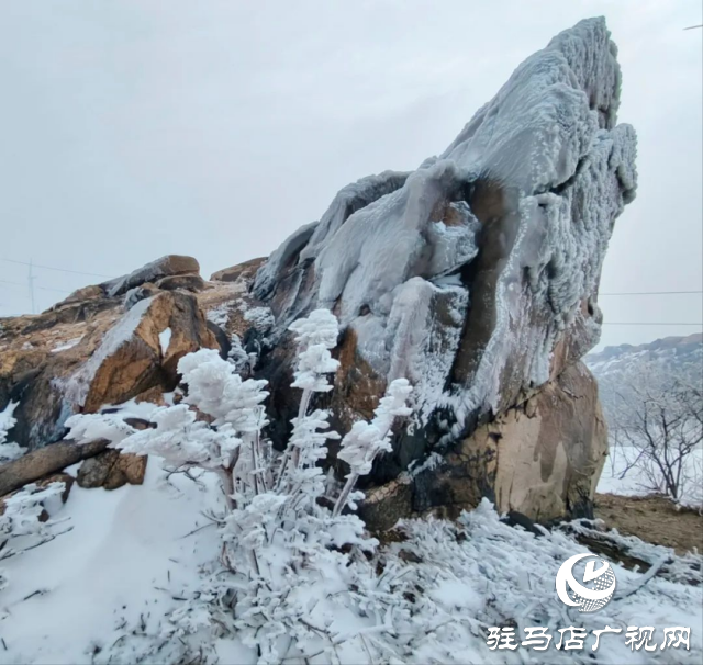 美呆了！羅漢山開啟雪凇、霧凇雙景齊現(xiàn)模式